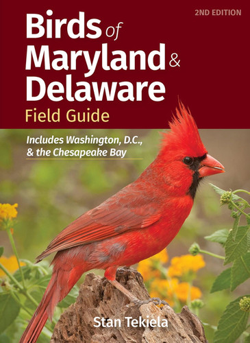 Birds of Maryland & Delaware Field Guide: Includes Washington D.C. &