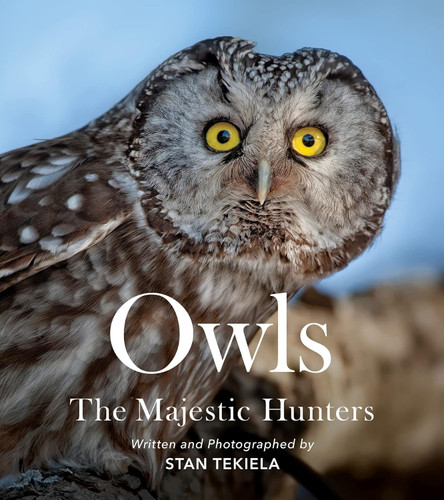 Owls: The Majestic Hunters (Favorite Wildlife)