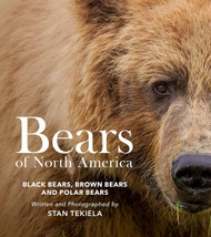 Bears of North America: Black Bears Brown Bears and Polar Bears