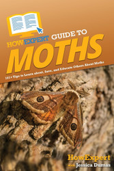 HowExpert Guide to Moths: 101+ Tips to Learn about Save and Educate