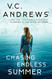 Chasing Endless Summer (Sutherland Series The)