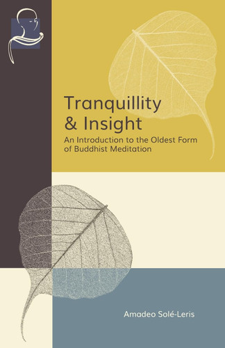 Tranquillity & Insight: An Introduction to the Oldest Form of