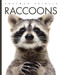 Raccoons (Amazing Animals)
