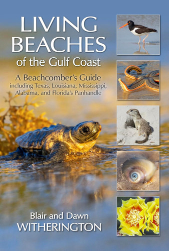 Living Beaches of the Gulf Coast