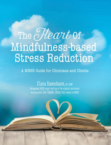 The Heart of Mindfulness-Based Stress Reduction: a MBSR Guide for