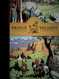 Prince Valiant Vol. 18: 1971-1972 (PRINCE VALIANT HC)
