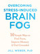 Overcoming Stress-Induced Brain Fog: 10 Simple Ways to Find Focus