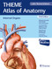 Internal Organs (Thieme Atlas of Anatomy: Latin Nomenclature 2)
