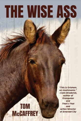 The Wise Ass (The Claire Saga)