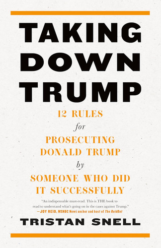 Taking Down Trump: 12 Rules for Prosecuting Donald Trump by Someone