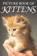 Picture Book of Kittens: Picture Book of Kittens: For Seniors with
