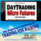 Day Trading Micro Futures for Income: The Beginner's Gateway to