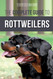 The Complete Guide to Rottweilers