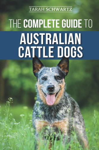 The Complete Guide to Australian Cattle Dogs
