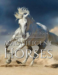 Horse Picture Book - Magnificent Horses