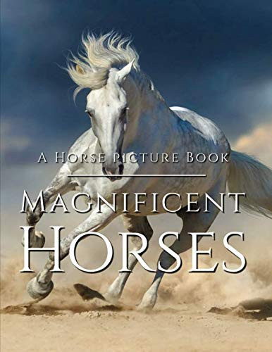 Horse Picture Book - Magnificent Horses