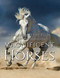 Horse Picture Book - Magnificent Horses