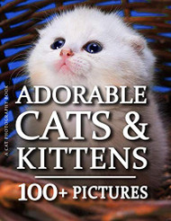 Cat Photography Book - Adorable Cat & Kittens
