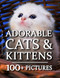 Cat Photography Book - Adorable Cat & Kittens