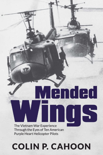 Mended Wings: The Vietnam War Experience Through the Eyes of Ten