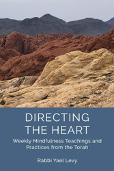 Directing the Heart: Weekly Mindfulness Teachings and Practices from