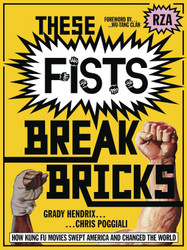 These Fists Break Bricks: How Kung Fu Movies Swept America and