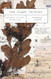 The Plant Thieves: Secrets of the herbarium