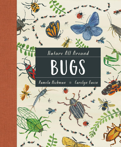 Nature All Around: Bugs (Nature All Around 2)