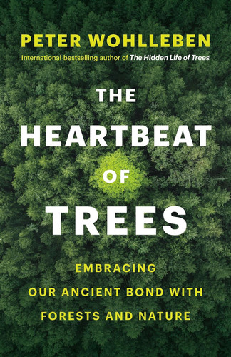 The Heartbeat of Trees: Embracing Our Ancient Bond with Forests and