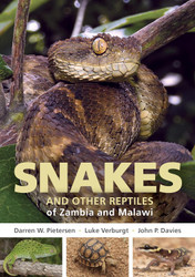 Field Guide to Snakes and other Reptiles of Zambia and Malawi