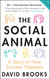 Social Animal: A Story of How Success Happens