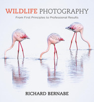 Wildlife Photography: An expert guide