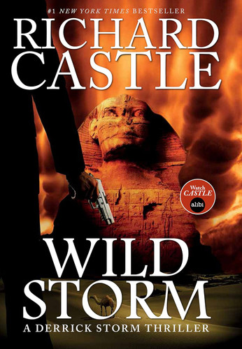 Wild Storm: A Derrick Storm Novel