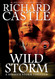 Wild Storm: A Derrick Storm Novel