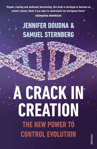 Crack In Creation