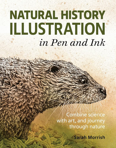 Natural History Illustration in Pen and Ink: Combine Science with Art
