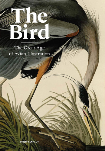 The Bird: The Great Age of Avian Illustration