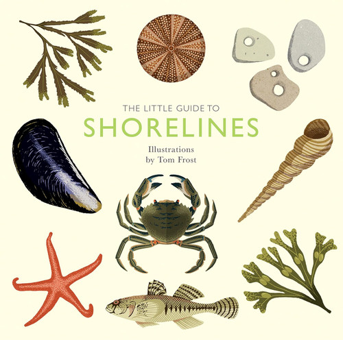 The Little Guide to Shorelines (Little Guides)