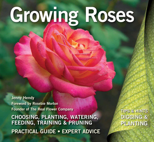 Growing Roses: Plan Plant and Maintain (Digging and Planting)