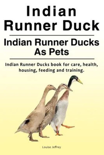 Indian Runner Duck. Indian Runner Ducks As Pets. Indian Runner Ducks