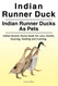 Indian Runner Duck. Indian Runner Ducks As Pets. Indian Runner Ducks