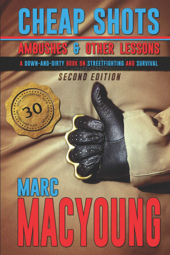 Cheap Shots Ambushes and Other Lessons: A down and dirty book on