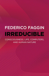 Irreducible: Consciousness Life Computers and Human Nature
