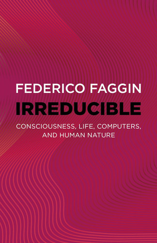 Irreducible: Consciousness Life Computers and Human Nature
