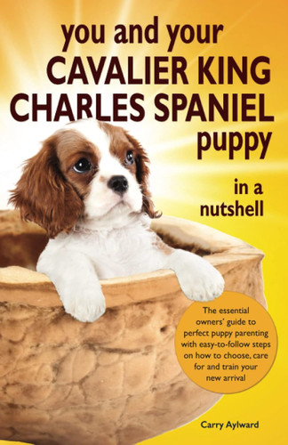You and Your Cavalier King Charles Spaniel Puppy in a Nutshell
