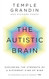 The Autistic Brain