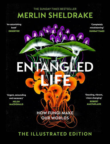 Entangled Life How Fungi Make Our Worlds The Illustrated Edition