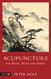 Acupuncture for Body Mind and Spirit