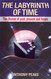 The Labyrinth of Time: The Illusion of Past Present and Future