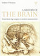 A History of the Brain